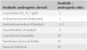 Exogenous Androgens Effect On Spermatogenesis Chapter 30 Fertility Preservation In Male Cancer Patients