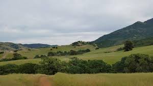 For sale > land in malaysia. Where Is Some Of The Cheapest Land For Sale In The World Adam Fayed