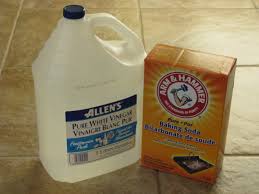 Vinaigre blanc + bicarbonate : Vinaigre Et Bicarbonate D Un Bonheur A L Autre