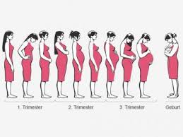 Während der babybauch wächst, denkt man bereits an die zeit nach der geburt. Schwangerschaftswochen Mamiweb De