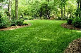 Even through rock mulch and gravel, weeds will somehow find a way to grow. Healthy Lawn Care 7 Low Maintainence Non Negotiables Joe Gardener