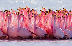 Dec 18, 2019 · because, you know, it's not real. 10 Real Life Counterparts Of Legendary Creatures Beings Toptenz Net