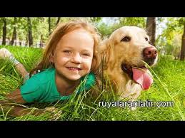 Kopek Gibi Sevdim 3gp Mp4 Mp3 Flv Indir
