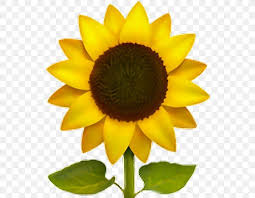  apple emoji is a set of more than 1500 branded emoticons from apple for ios and macos with the 13.2 update, apple emoji list was complemented with a large set of absolutely new and improved. The Best Sunflower Iphone Emoji Png And Review Emoji Flower Transparent Flowers Yellow Flowers