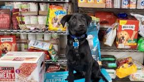 The free food pantry may have soup, peanut butter, rice, and more. Pet Food Pantry Opens In Area Levittownnow Com
