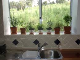 Maybe you would like to learn more about one of these? Growing Herbs Indoors Mystical Magical Herbs