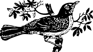 Bunga sakura gambar bunga cantik untuk wallpaper. Pohon Burung Daun Daun Gambar Vektor Gratis Di Pixabay