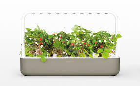 The Smart Garden 9 Aquaponics Fish Aquaponics Diy Aquaponics Plants