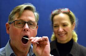 On the trail of the Kiwi