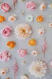 Seasonal Flower Guide Summer Summer Flowers Seasonal Flowers Flower Guide