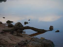 The neighborhood boundaries of logan square were originally held to be kimball avenue on the west, california avenue to the east, diversey parkway on the north, and fullerton avenue to the south. Logan Martin Dam 1080p 2k 4k 5k Hd Wallpapers Free Download Wallpaper Flare