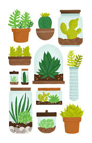 Xeriscape desert landscaping cactus : 20 Ideas De Dibujos Cactus Suculentas Dibujos Cactus Suculentas