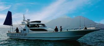 sealine3-new.web.app