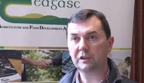 Outlook for beef prices is positive, Donegal IFA meeting hears