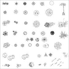 How to draw flowers in pen, ink, and color. Plants Flowers Tree Autocad Blocks Collections All Kinds Of Plants Cad Blocks Free Download Architectural Cad Drawings