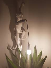 Seletti White Wall Hanging Monkey Lamp Available Now At Koalas Aint Bears Whole Range On Our Site Lamp Hanging Monkey White Wall Hanging