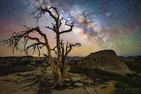Just north of zion national park, cedar breaks national monument encompasses part of the western escarpment of the colorado plateau… Zion National Park Home Facebook