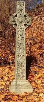 Dr Frederick Wilcox Chapin (1849-1910)