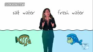 In nature you will find that if one factor is changed or removed, it impacts the availability of other resources within the system. Biotic And Abiotic Factors In Ecosystems Logos Academy Youtube