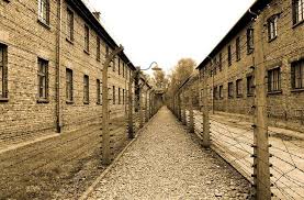 În auschwitz i, lagărul de concentrare inițial care a servit drept centru administrativ pentru întregul complex, au murit aproape 70.000 de intelectuali polonezi și prizonieri sovietici de război. Ètiri Itinerarii EvreieÈti 75 De Ani De La Eliberare Auschwitz 26 Ianuarie 2020 BucureÈti Revista CulturalÄ Leviathan