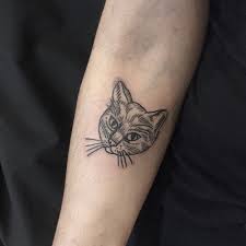 Pin On Ink Piercings