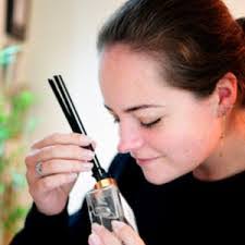 Lisa Veldman's Instagram, Twitter & Facebook