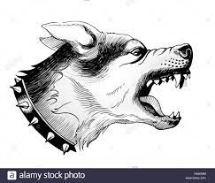 Connect the paws with lines, exactly as in my drawing, and draw an oval for the dog's head. Dog Barking Drawing The Y Guide