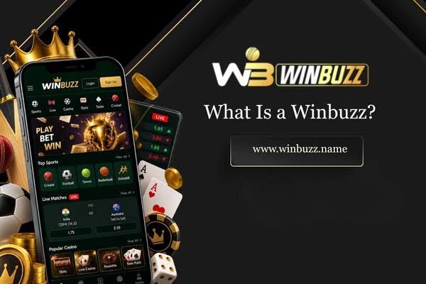 Winbuzz ID Provider in India | Get Your Sports ID