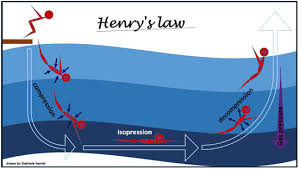Image result for Inner Ear Decompression Sickness