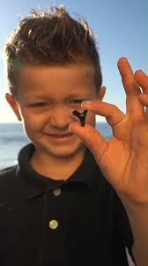 As our Stories of the Shag closes its final chapter, we are looking forward  to the stories that you make for the rest of this year and beyond. Let us  know your