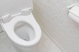 トイレの跳ね返り対策 トイレットペーパーで簡単に防げる シュフーズ トイレットペーパー トイレ トイレ 汚れ