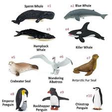 Need to translate singa laut from malay? Singa Laut