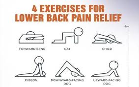 Pin On Back Pain