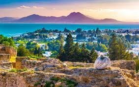 1,433 new cases and 99 new deaths in tunisia  source updates. Top 10 Tunesie Tips En Bezienswaardigheden Voyago