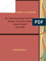 Las autoridades investigan a todos los pasajeros y tripulación de un vuelo que llegó de inglaterra con tres sudcoreanos contagiados con la nueva cepa. Allium Cepa Plant Stem Onion