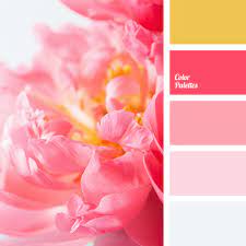 Maybe you would like to learn more about one of these? Coral Pink Color Palette Ideas