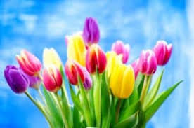 Here, we'll take a look at the whys and the hows of sending flowers to a hospital. How To Send Flowers To Loved Ones During Their Hospital Stay Adrian Durban Florist