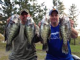Lake Darbonne And Union Parish Crappie Report Home Facebook