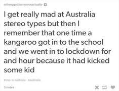 Now if you dig into the real adverse reactions numbers you won't come up with 1 in a million. 45 Aussie Jokes Ideas Australia Aussie Australia Funny
