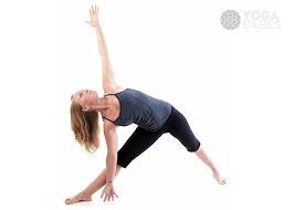 Triangle Basic Yoga Standing Yoga Poses Triangle Pose Yoga
