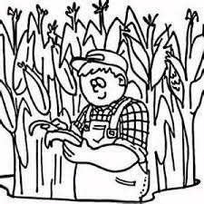 Corn field harvesting with combine harvester green ecology organic food abstract rural autumn. Corn Field Coloring Pages Coloring Pages Field Sketch Corn Coloring Page