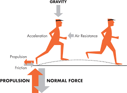 Although the typical amount of calories burned walking is about 340 calories for a one hour stroll, there are other benefits to walking. The Tortoise The Hare And The Kilocalorie You Burn The Same Number Of Calories Running Fast Or Slow Velopress
