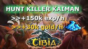 You simply need to click your opponent when you see it and you will walk and start attacking it with tibia. Elite Knight Hunt Guide Killer Caimans 70 Level Youtube