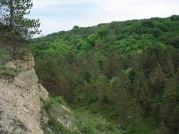 We did not find results for: Top 5 Locuri De Vizitat In Comuna Baciu Din Judetul Cluj È™tiri Din Baciu