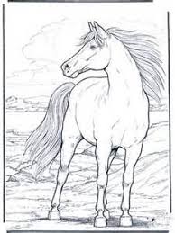 Wild Horse Coloring Pages Bing Images Dover Coloring Pages Horse Coloring Pages Horse Coloring Books