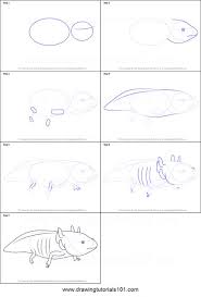 Axolotl tamales were a favorite, served whole with cornmeal. 51 Axolotl Drawing Ideas Axolotl Axolotl Cute Drawings
