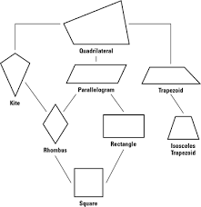 Identifying The Seven Quadrilaterals Dummies