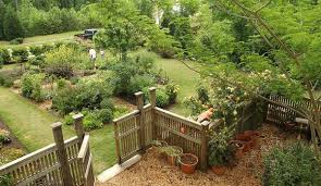 Fruit Orchards Design Google Search Orchard Garden Fruit Trees Backyard Garden Planning