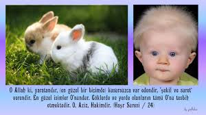 Karacayli Adli Kullanicinin Ayet Ve Hadisler Panosundaki Pin Tintin