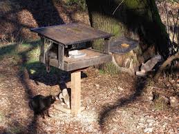 2020 popular 1 trends in home & garden, consumer electronics with cat feed station and 1. Feral Cats Drive Songbird Decline Wintu Audubon Society